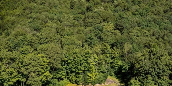 Little Creek Lodge